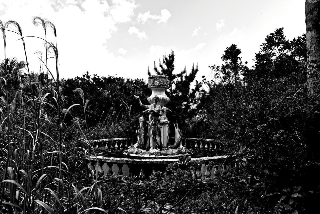 VIEW OF BUDDHA STATUE IN PARK