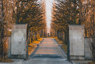 Footpath amidst trees during autumn