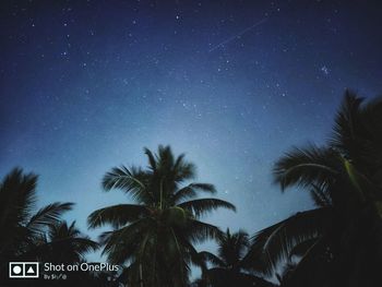 Low angle view of silhouette palm trees against sky at night