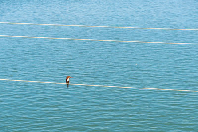 High angle view of man surfing in sea