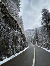 Road amidst trees against sky during winter grimsel pass