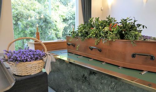 Potted plants in basket on table