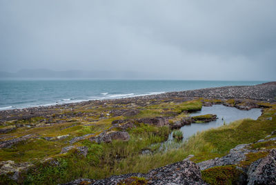 Scenic view of sea against sky