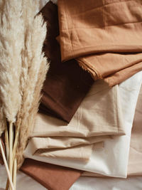 High angle view of feather on table