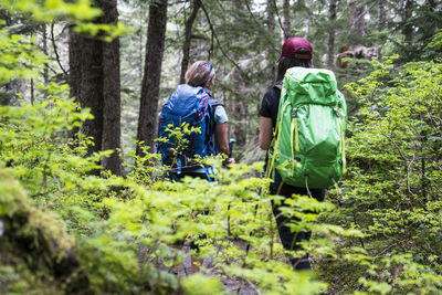 Two female hikers on a trail in the mt. baker wilderness