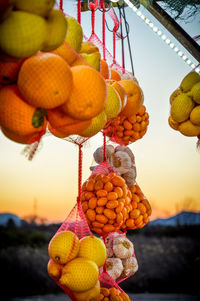 Low angle view of fruits hanging against orange sky