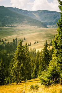 Scenic view of landscape and mountains against sky