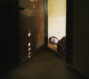 Man wearing mask at doorway in room