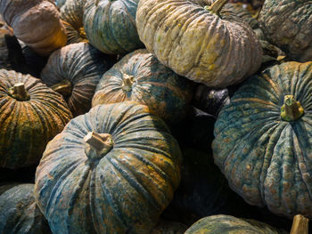Full frame shot of pumpkins