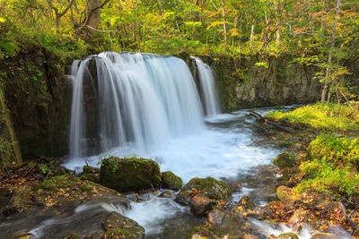 Scenic view of waterfall in forest