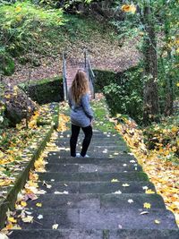 Rear view of woman standing on footpath amidst autumn leaves