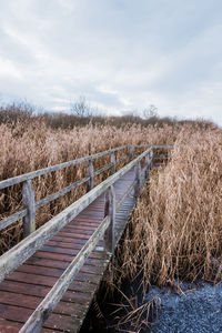 Wooden path leading through moorland