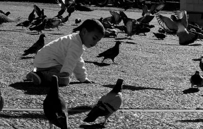 Full length of boy kneeling on street amid pigeons