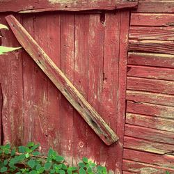 Close-up of wood