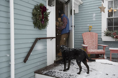 Man with firewood entering into house while dog standing at doorway