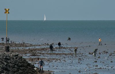 People on beach against clear sky