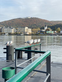 Seagulls on pier by lake against sky