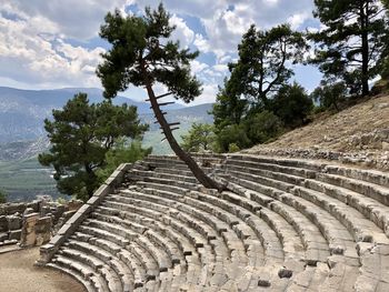 High angle view of tree against sky