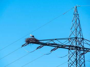 Low angle view of birds on cable against sky