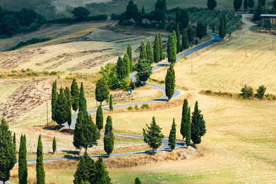 Panoramic shot of agricultural field