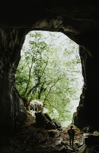 Man seen through cave in forest