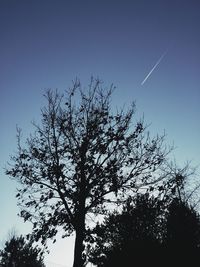 Low angle view of bare trees against sky