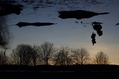 Silhouette birds flying against sky during sunset