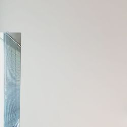 Close-up low angle view of tree against the sky