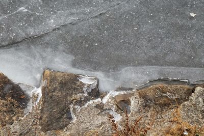 Close-up of snow covered land