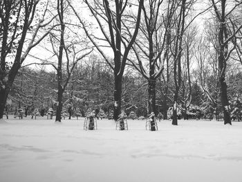 Trees on snow covered landscape