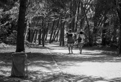 Rear view of people walking in forest