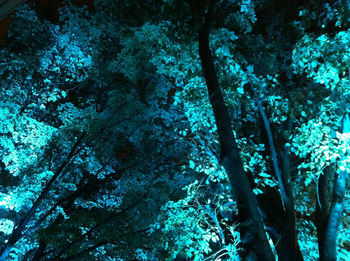 Full frame shot of tree