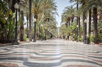 Street in barcelona