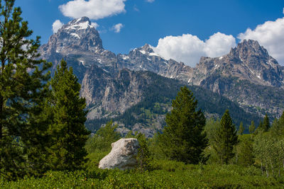 Scenic view of trees and mountains against sky