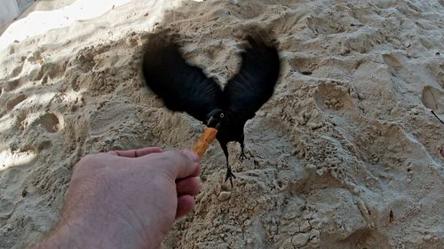 High angle view of human hand on sand