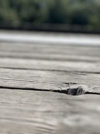 Close-up of driftwood on wooden surface