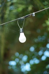 Close-up of light bulb
