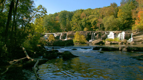 Scenic view of river in forest against sky