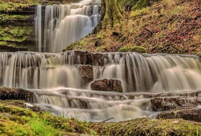 Waterfall in forest