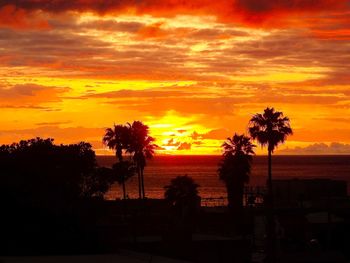 Silhouette trees by sea against orange sky