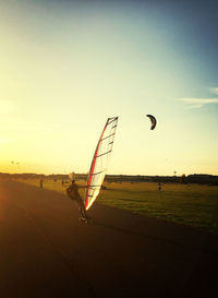 Bird flying over the sky