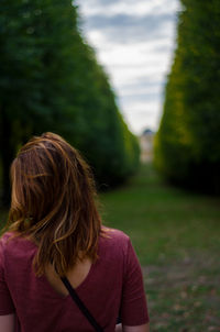 Rear view of woman standing amidst trees