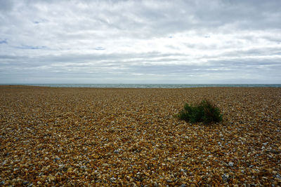 Surface level of land against sky