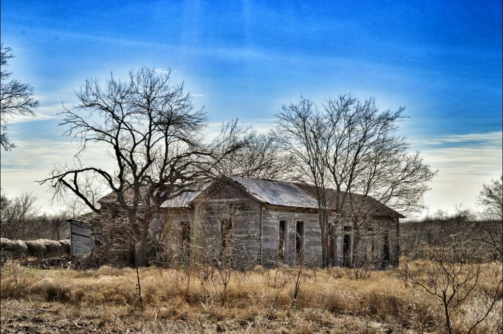 architecture, built structure, building exterior, bare tree, house, sky, abandoned, field, barn, old, tree, grass, rural scene, damaged, obsolete, residential structure, cloud - sky, landscape, run-down, deterioration