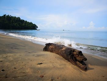 Driftwood on beach against sky