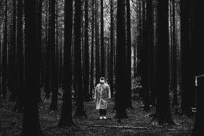 Man standing by trees in forest