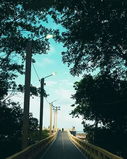 Bridge over river amidst trees in forest against sky