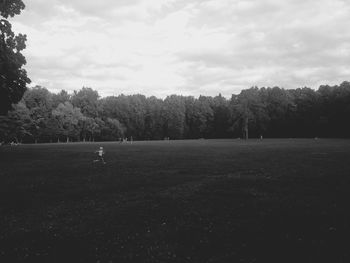 Trees on field against sky