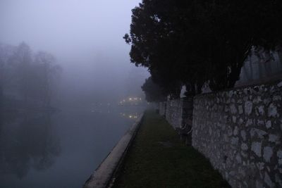 View of road along trees