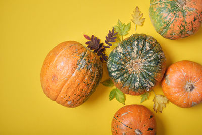 Close-up of pumpkin against yellow background